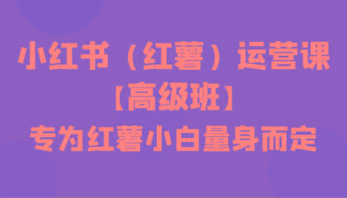 小红书(红薯)运营课【高级班】，专为红薯小白量身而定(42节课)-网创星球