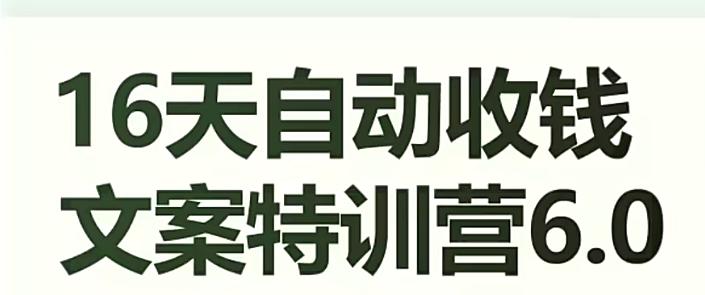 16天自动收钱文案特训营6.0，学会儿每天自动咔咔收钱-网创星球