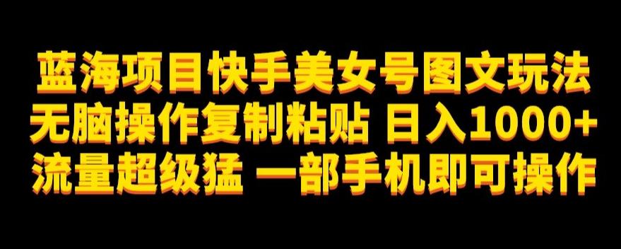 蓝海项目快手美女号图文玩法，无脑操作复制粘贴，日入1000+流量超级猛一部手机即可操作【揭秘】-网创星球