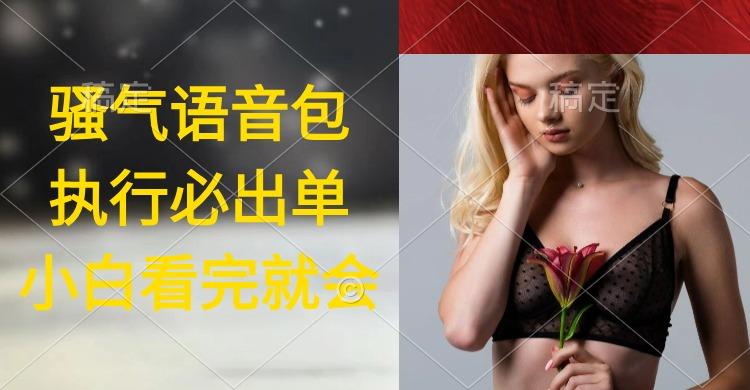 (9589期)执行就出单，日入2000+，超火骚气语音包，小白看完课程就能马上实操-网创星球