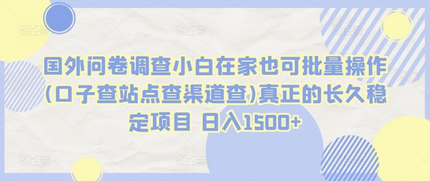 国外问卷调查小白在家也可批量操作(口子查站点查渠道查)真正的长久稳定项目 日入1500+【揭秘】-网创星球