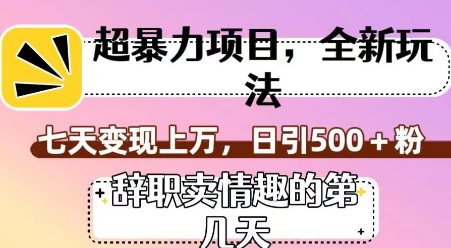 超暴利项目，全新玩法（辞职卖情趣的第几天），七天变现上万，日引500+粉【揭秘】-网创星球