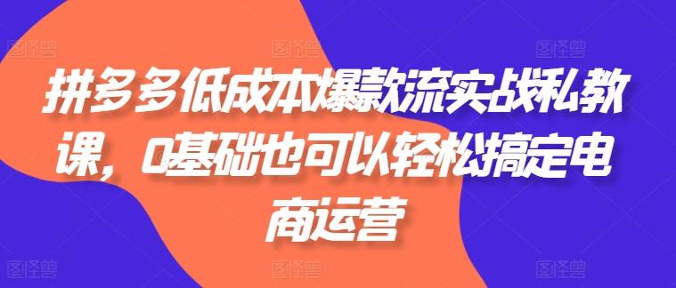 拼多多低成本爆款流实战私教课，0基础也可以轻松搞定电商运营-网创星球