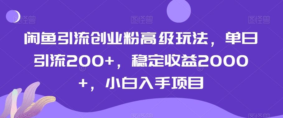 闲鱼引流创业粉高级玩法，单日引流200+，稳定收益2000+，小白入手项目-网创星球