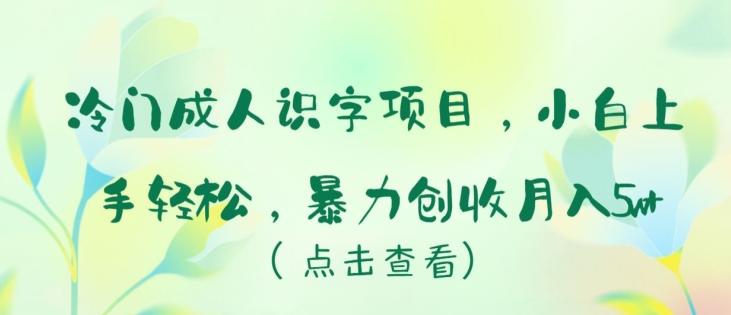 冷门成人识字项目，小白上手轻松，暴力创收月入5w+【揭秘】-网创星球