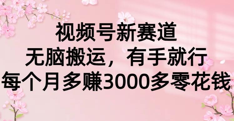 (9278期)视频号新赛道，无脑搬运，有手就行，每个月多赚3000多零花钱-网创星球