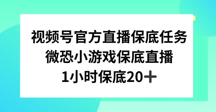视频号直播任务，微恐小游戏，1小时20+【揭秘】-网创星球