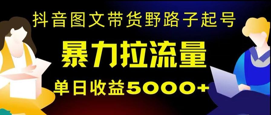 抖音图文带货暴力起号，单日收益5000+，野路子玩法，简单易上手，一部手机即可【揭秘】-网创星球
