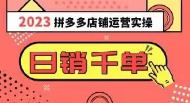 2023拼多多运营实操，每天30分钟日销1000＋，爆款选品技巧大全（10节课）-网创星球