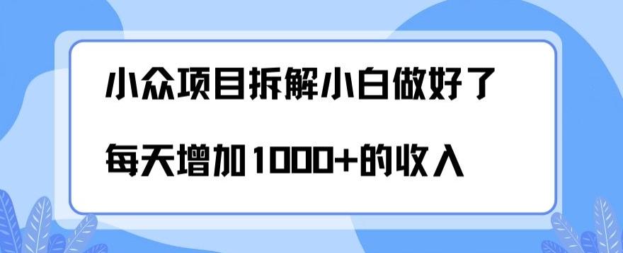 小众项目拆解，小白做好了每天可增加1000多的收入-网创星球
