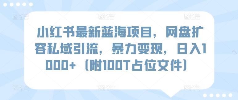 小红书最新蓝海项目，网盘扩容私域引流，暴力变现，日入1000+(附100T占位文件)【揭秘】-网创星球