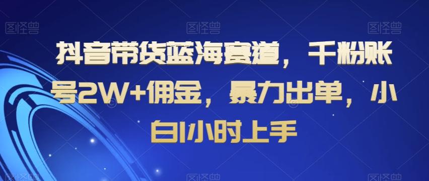 抖音带货蓝海赛道，千粉账号2W+佣金，暴力出单，小白1小时上手【揭秘】-网创星球