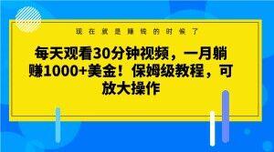 每天观看30分钟视频，一月躺赚1000+美金！保姆级教程，可放大操作【揭秘】-网创星球