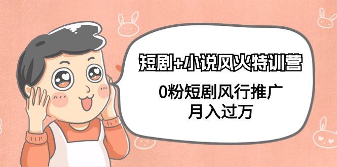(9374期)短剧+小说风火特训营，0粉短剧风行推广，月入过万(102节课)-网创星球