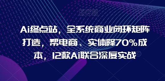 Ai终点站，全系统商业闭环矩阵打造，帮电商、实体降70%成本，12款Ai联合深度实战-网创星球