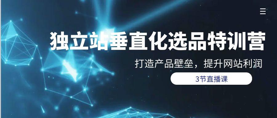 (9925期)独立站-垂直化选品训练营，打造产品壁垒，提升网站利润(3节直播课)-网创星球