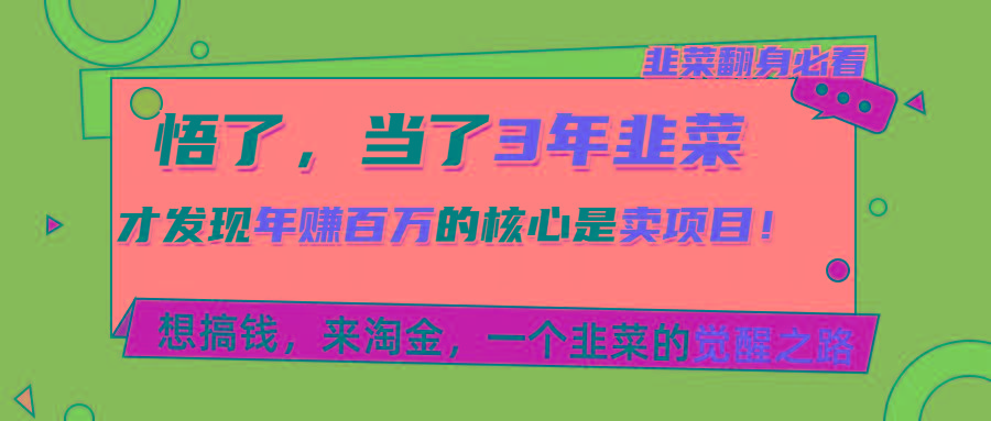 悟了，当了3年韭菜，才发现网赚圈年赚100万的核心是卖项目，含泪分享！-网创星球