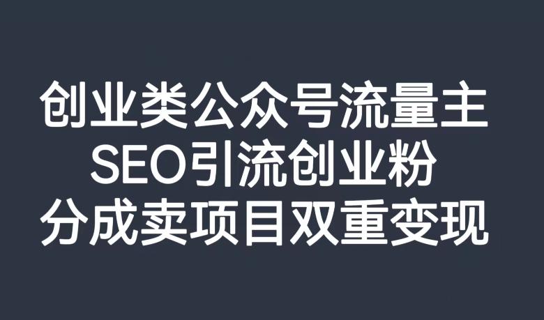 创业类公众号流量主，SEO引流创业粉，分成卖项目双重变现【揭秘】-网创星球