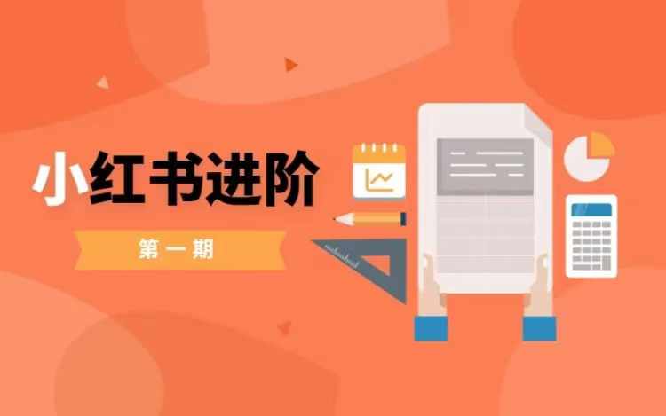 小红书进阶篇，零基础小白实战课，普通人变现的课程-网创星球