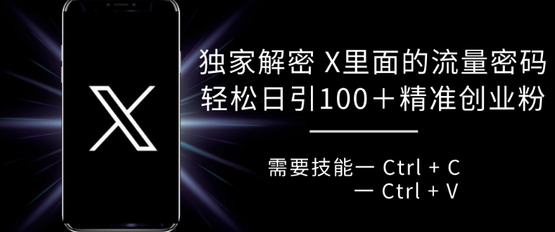 独家解密 X 里面的流量密码，复制粘贴轻松日引100+-网创星球