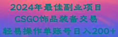 2024年最佳副业项目 CSGO饰品装备交易 轻易操作单账号日入200+-网创星球
