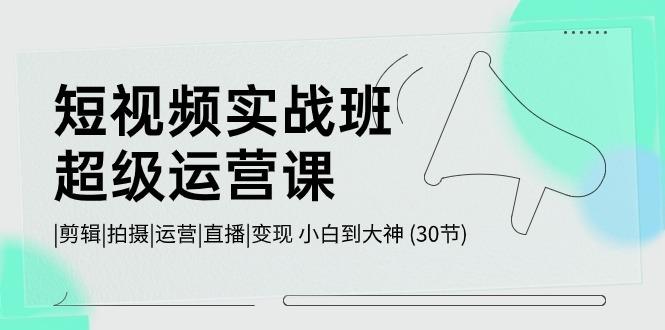 短视频实战班超级运营课 |剪辑|拍摄|运营|直播|变现 小白到大神 (30节)-网创星球