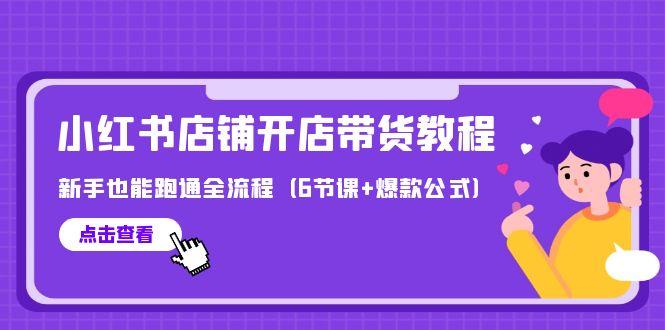 (9883期)最新小红书店铺开店带货教程，新手也能跑通全流程(6节课+爆款公式)-网创星球
