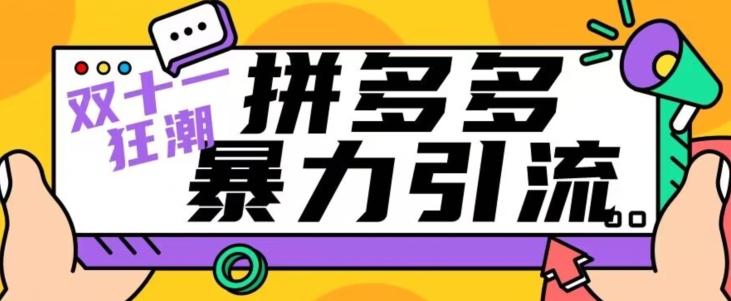 【首发】双十一拼多多暴力引流，日引300+微信-网创星球