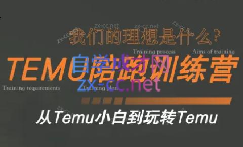 苗苗·拼多多跨境（temu）课程-网创星球