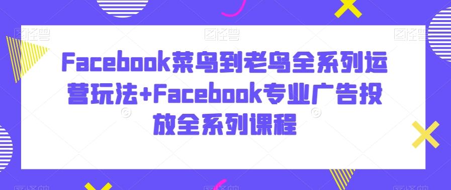 Facebook菜鸟到老鸟全系列运营玩法+Facebook专业广告投放全系列课程-网创星球
