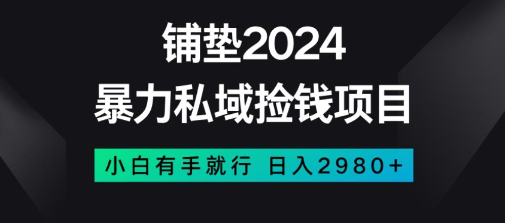 暴力私域捡钱项目，小白无脑操作，日入2980【揭秘】-网创星球