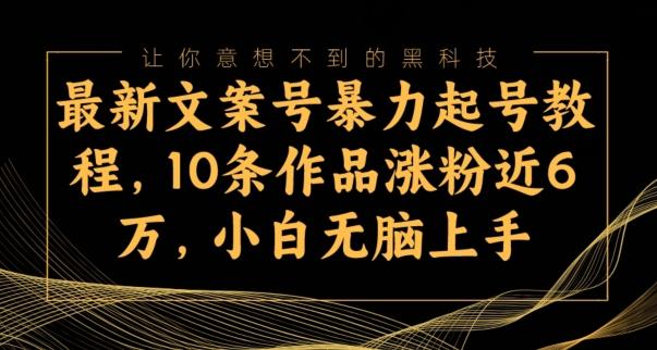 最新文案号暴力起号教程，10条作品涨粉近6万，小白无脑上手-网创星球