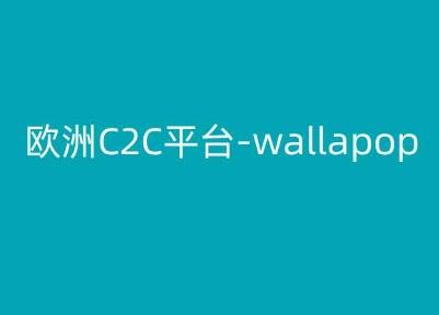 欧洲C2C平台-wallapop-kim跨境电商教程-网创星球