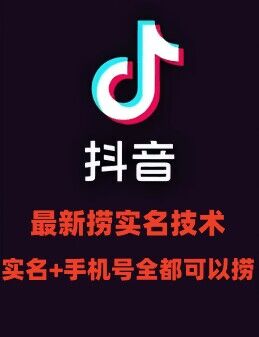 最新技术抖音捞实名+捞手机号技术，抖音直播封禁释放十名/手机号，直接替换出来!-网创星球