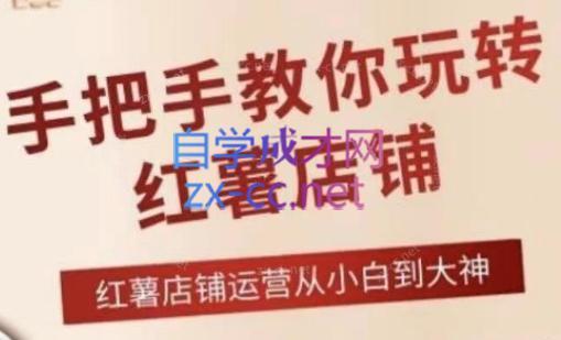 海燕老师·2024手把手教你玩转红薯店铺-网创星球