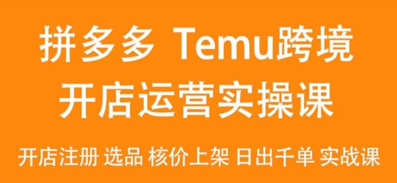 2024Temu最新玩法，Temu跨境开店运营实操课，开店注册/选品/核价上架/日出千单实战课-网创星球