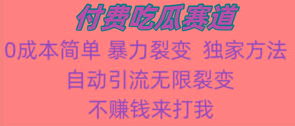 吃瓜付费赛道，暴力无限裂变，0成本，实测日入700+！！！-网创星球