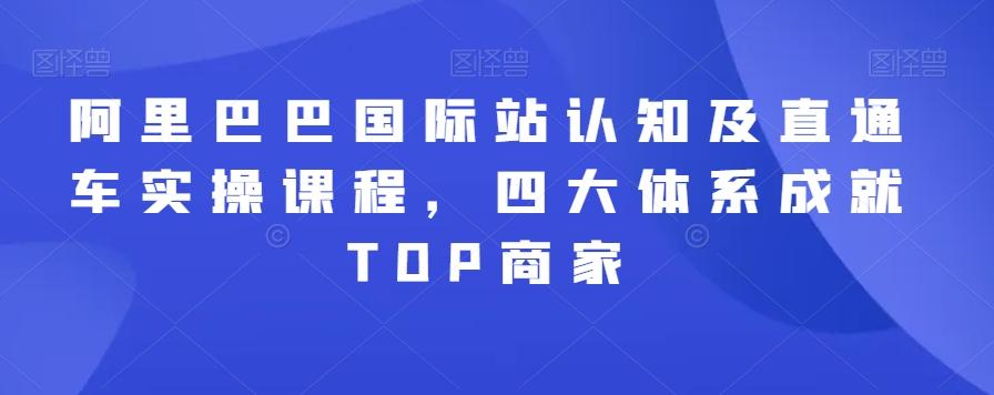 阿里巴巴国际站认知及直通车实操课程，四大体系成就TOP商家-网创星球