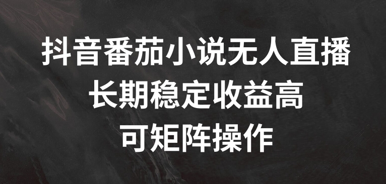 抖音番茄小说无人直播，长期稳定收益高，可矩阵操作【揭秘】-网创星球