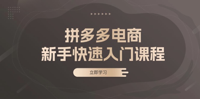 拼多多电商新手快速入门课程：涵盖基础、实战与选款，助力小白轻松上手-网创星球