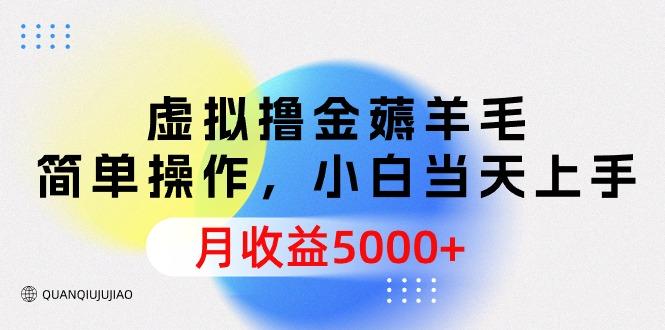 (9864期)虚拟撸金薅羊毛，简单操作，小白当天上手，月收益5000+-网创星球