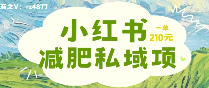 小红书减肥粉，私域变现项目，一单就达210元，小白也能轻松上手【揭秘】-网创星球