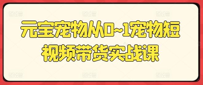 元宝宠物从0~1宠物短视频带货实战课-网创星球