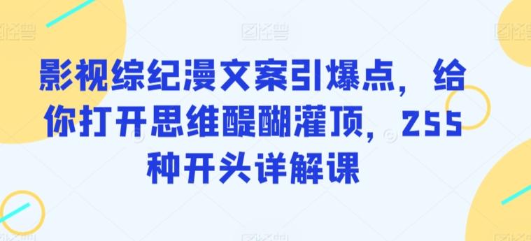 影视综纪漫文案引爆点，给你打开思维醍醐灌顶，255种开头详解课-网创星球