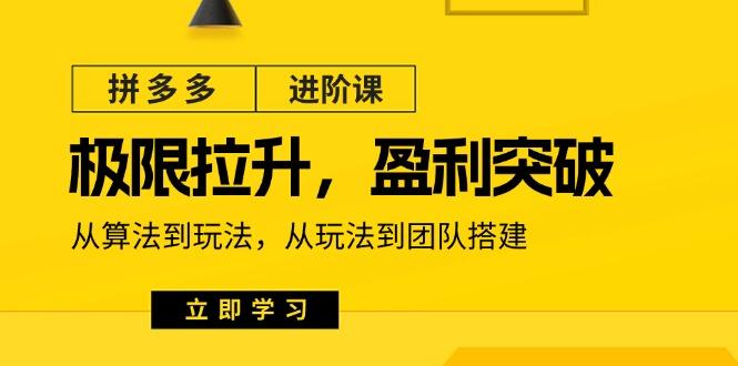 拼多多·进阶课：极限拉升/盈利突破：从算法到玩法 从玩法到团队搭建-18节-网创星球