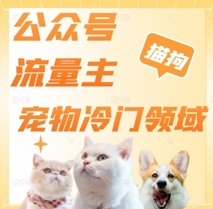 公众号流量主，萌宠冷门领域，单日收益2000+，简单暴力掘金，矩阵操作，无限放大收益！-网创星球