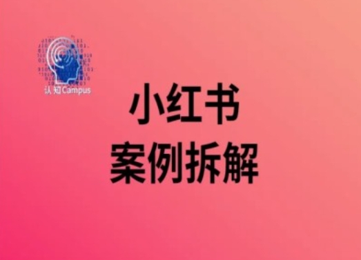 小红书案例拆解，深度解读小红书40万粉-网创星球