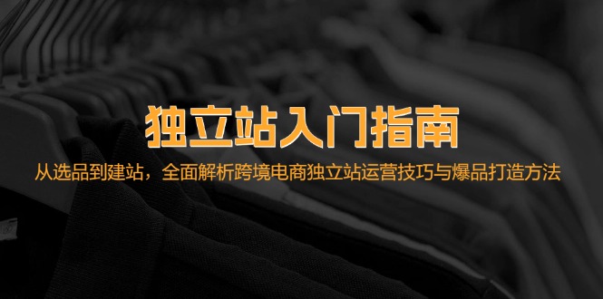 独立站入门指南：从选品到建站，全面解析跨境电商独立站运营技巧与爆品…-网创星球