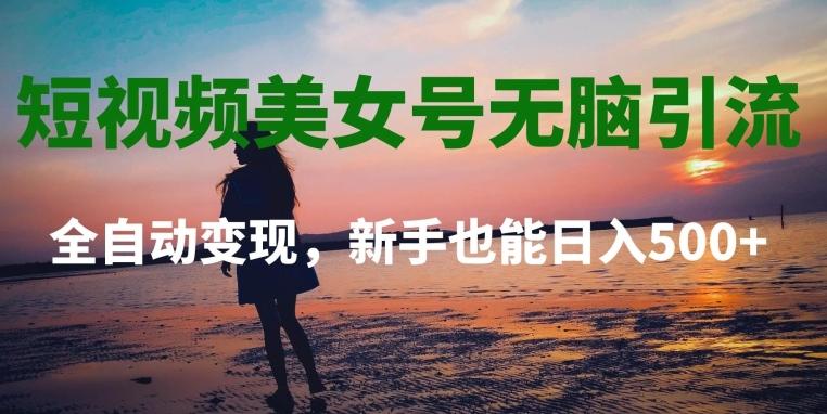 短视频美女号无脑引流，全自动变现，新手也能日入500+-网创星球