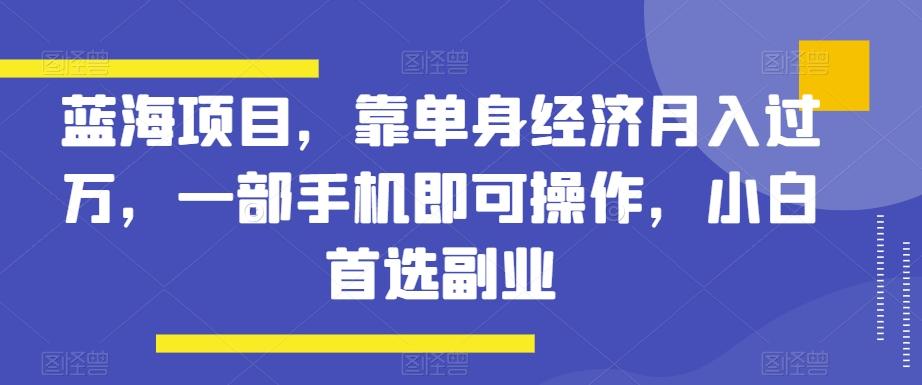 蓝海项目，靠单身经济月入过万，一部手机即可操作，小白首选副业【揭秘】-网创星球